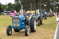 Malton Show 2024